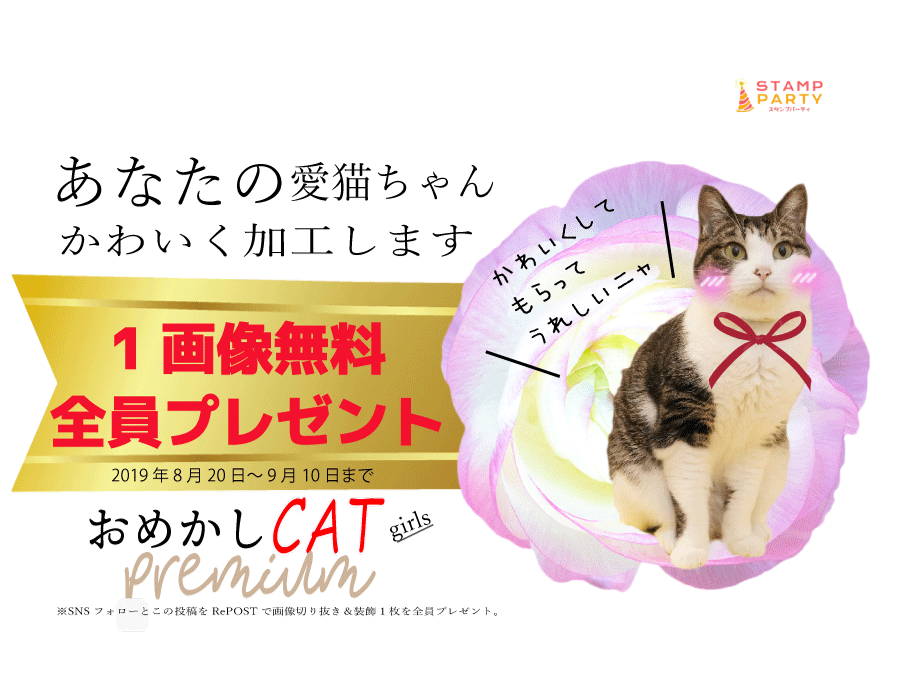 おめかし猫ちゃんlineスタンプ