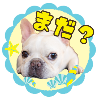 ペットlineスタンプが簡単10分 愛犬 愛猫の写真でライン会話が楽しい Stamp Party スタンプパーティ Line