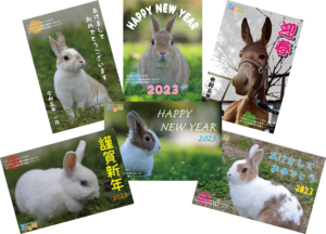 京都市動物園うさぎ年賀状無料画像テンプレ